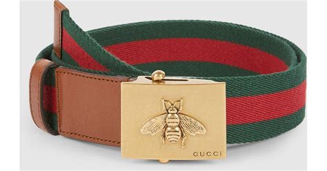 gucci bumblebee belt|gucci belt transparent.